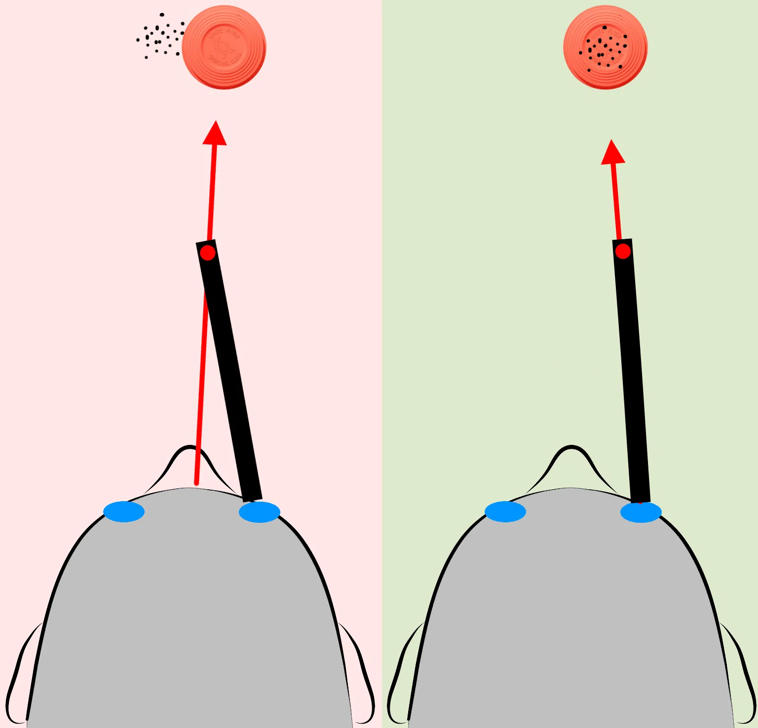 egocenter shotgun comparison no text
