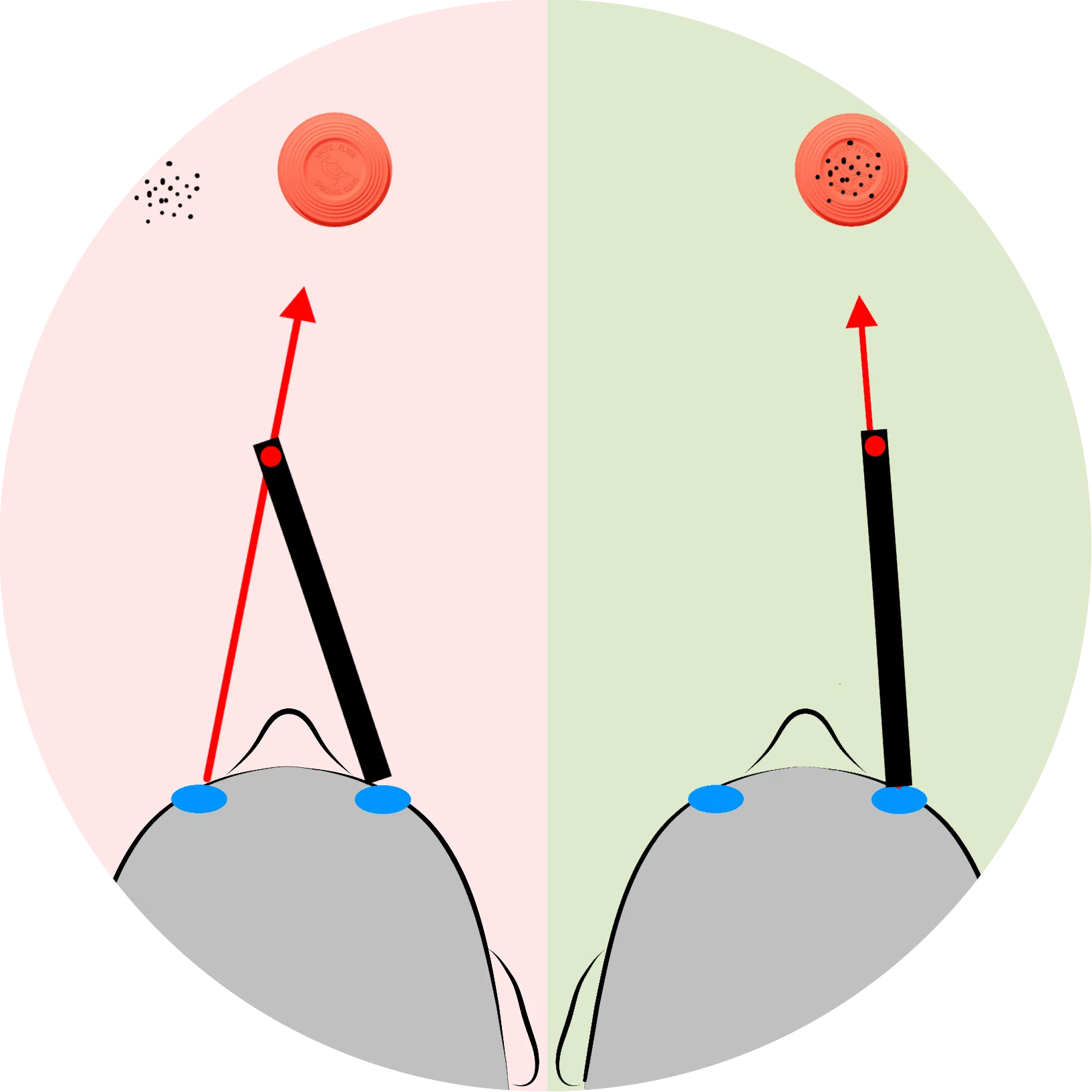 cross dominant shotgun comparison round