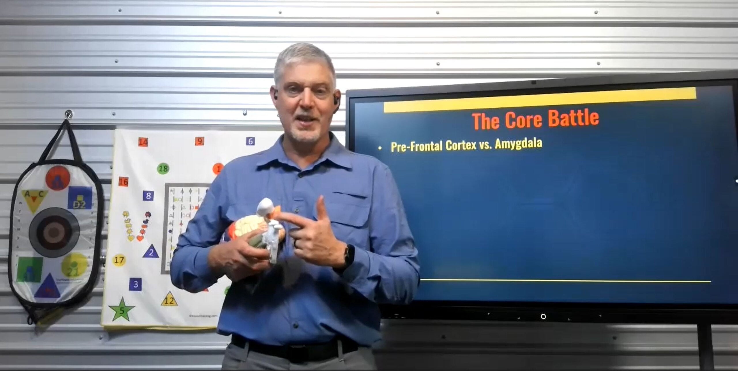 Ox teaching with a brain model, explaining the pre-frontal cortex versus amygdala shift