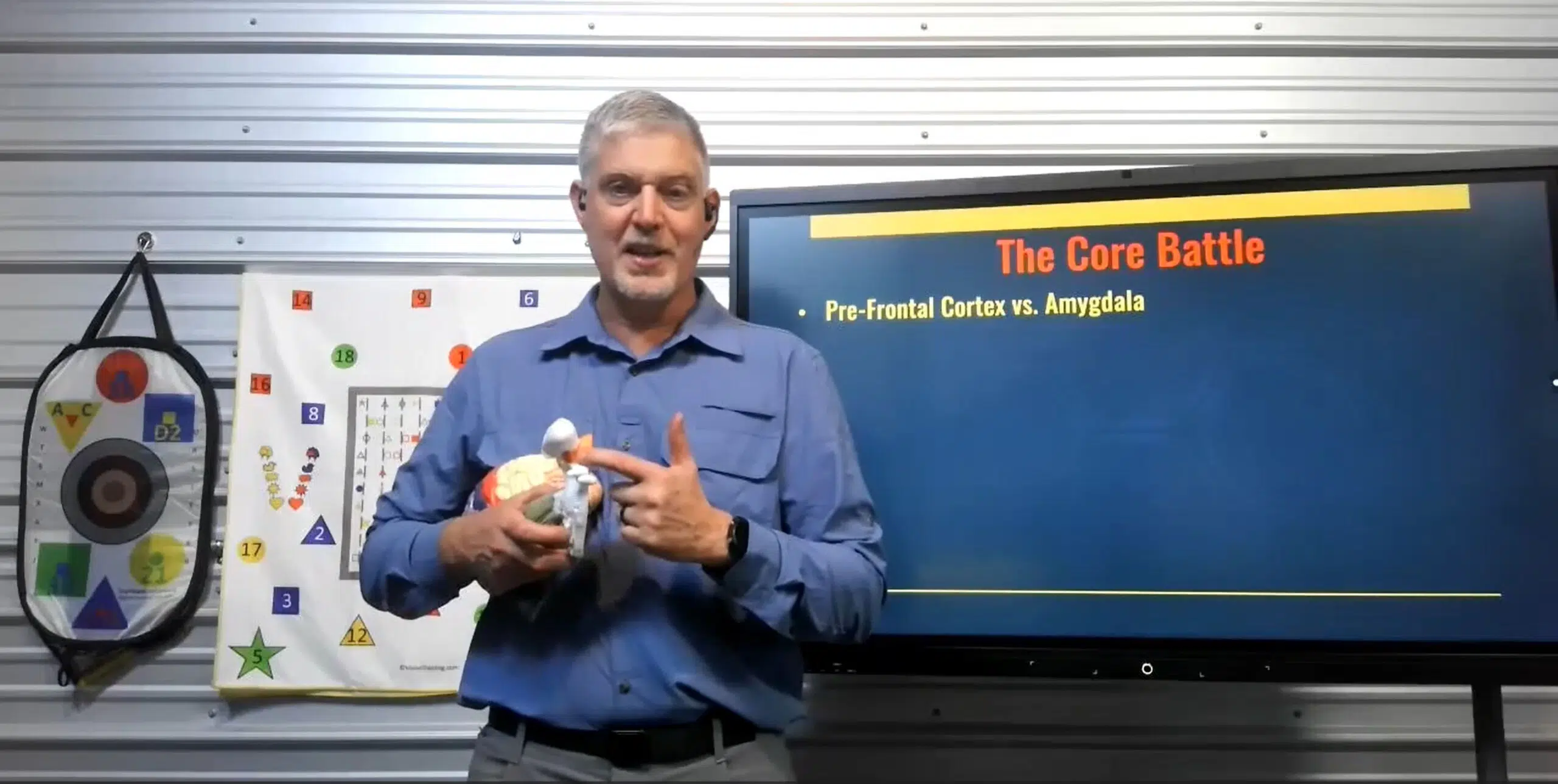Ox teaching with a brain model, explaining the pre-frontal cortex versus amygdala shift